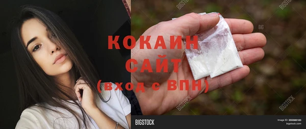 ГАЛЛЮЦИНОГЕННЫЕ ГРИБЫ Богородицк