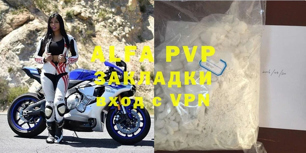 эйфоретик Богданович