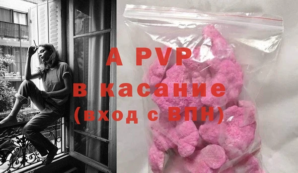 эйфоретик Богданович