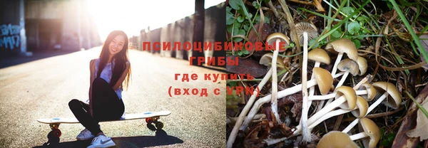 хмурый Богородск